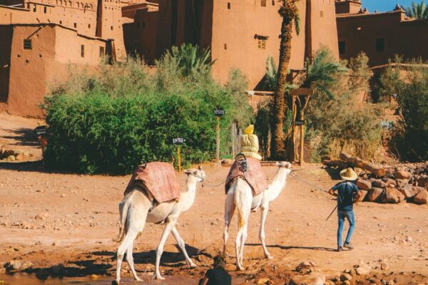 1 Day Trip to Ouarzazate & Ait Ben Haddou from Marrakech