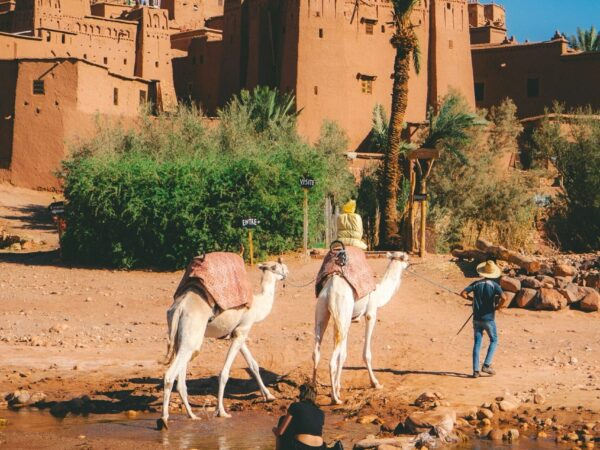 1 Day Trip to Ouarzazate & Ait Ben Haddou from Marrakech