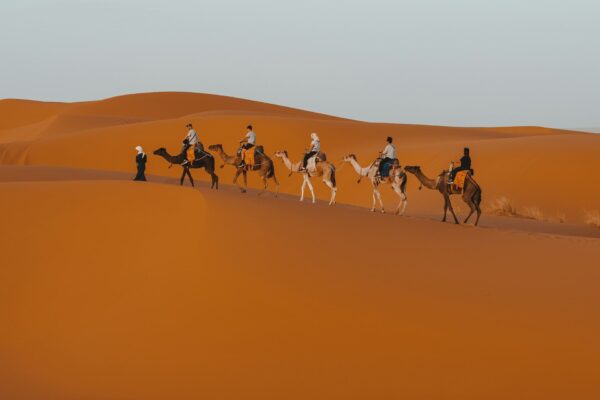 Zagora desert 2 Days tour from Marrakech