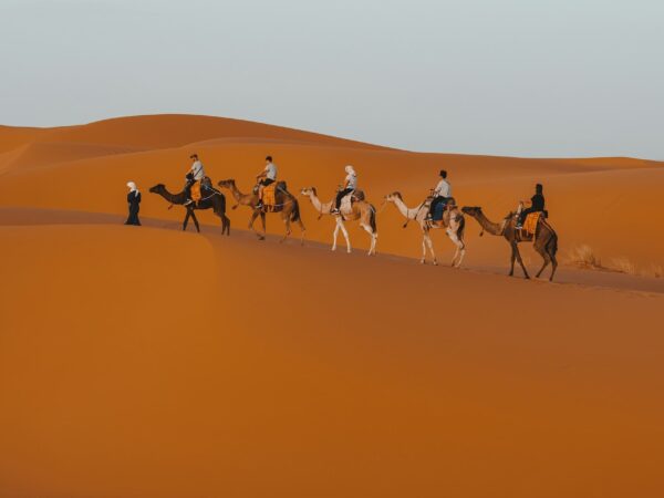 Zagora desert 2 Days tour from Marrakech